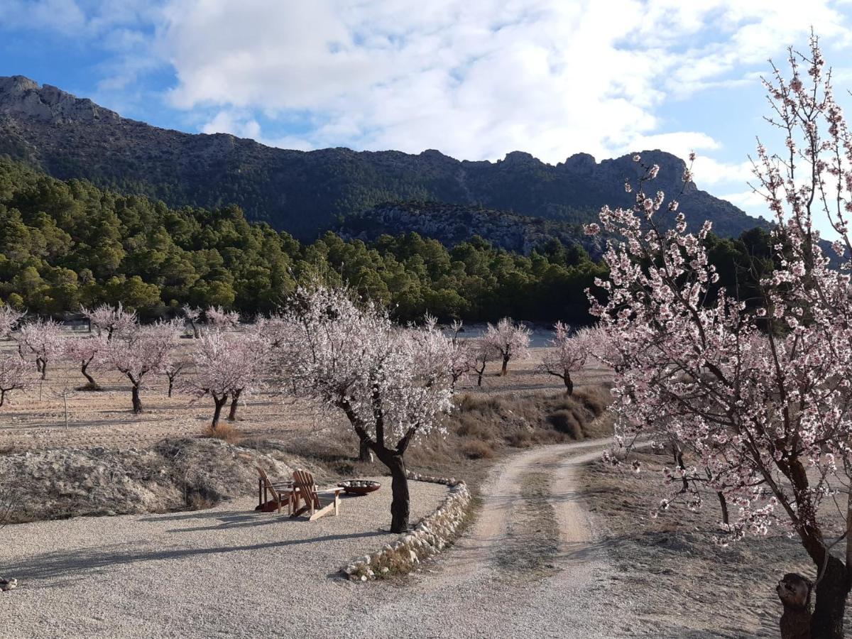 벨레즈블랭코 Cortijo Blanco 아파트 외부 사진