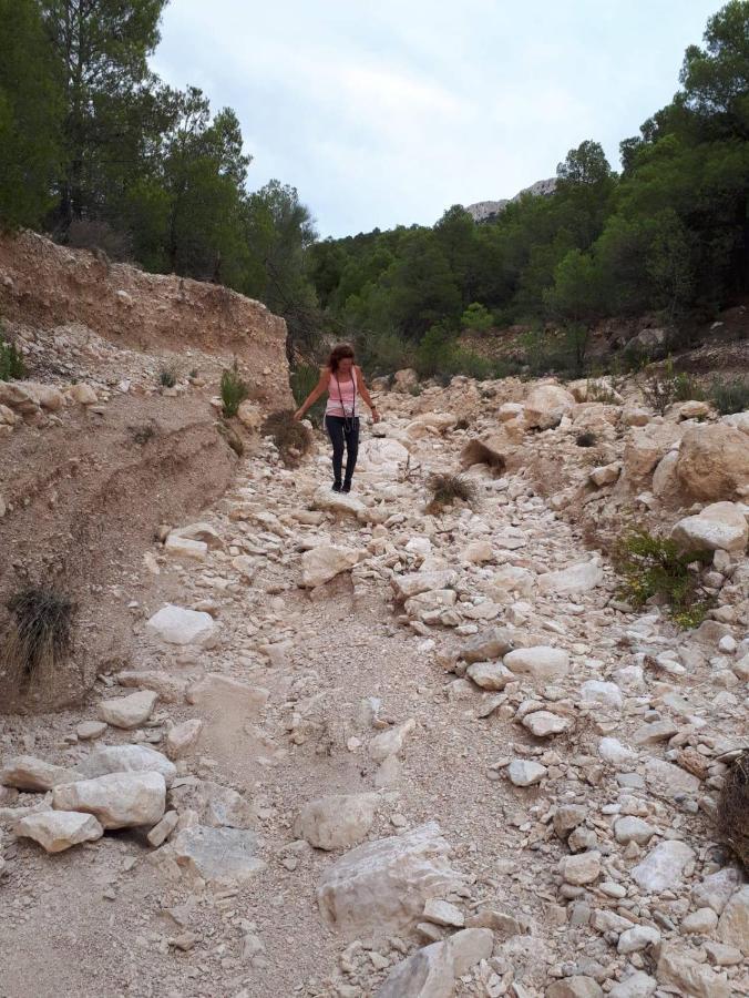 벨레즈블랭코 Cortijo Blanco 아파트 외부 사진