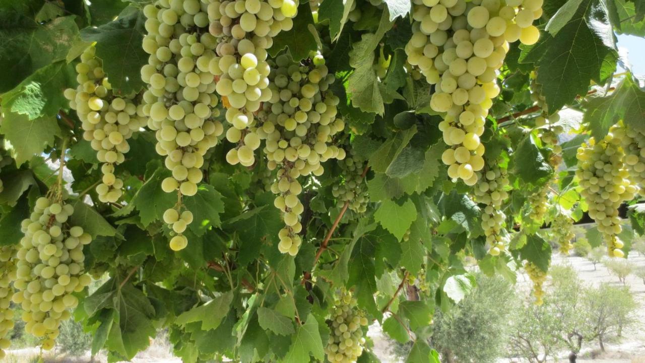 벨레즈블랭코 Cortijo Blanco 아파트 외부 사진