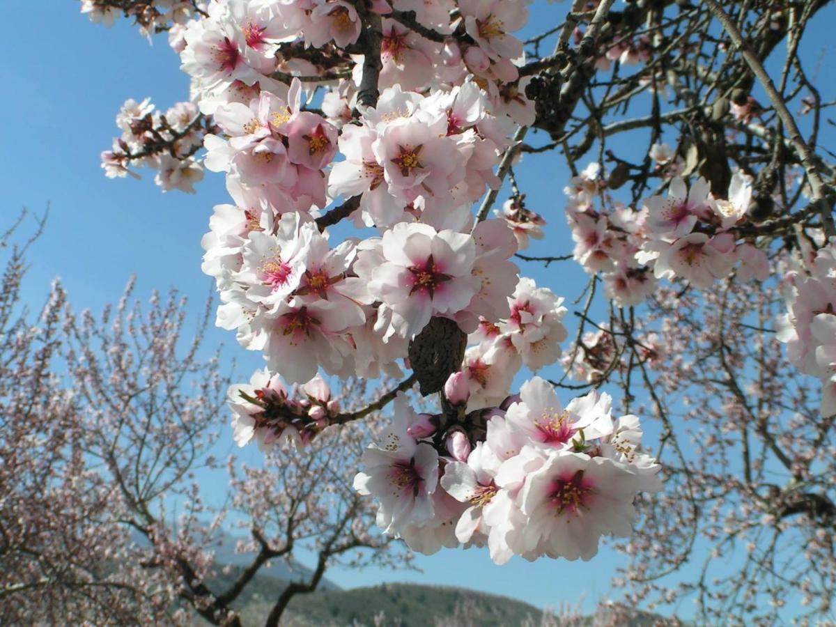벨레즈블랭코 Cortijo Blanco 아파트 외부 사진